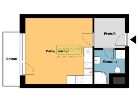 1-kk-kamechy-2d-pudorys.jpg | Pronájem bytu, 1+kk, 40 m²