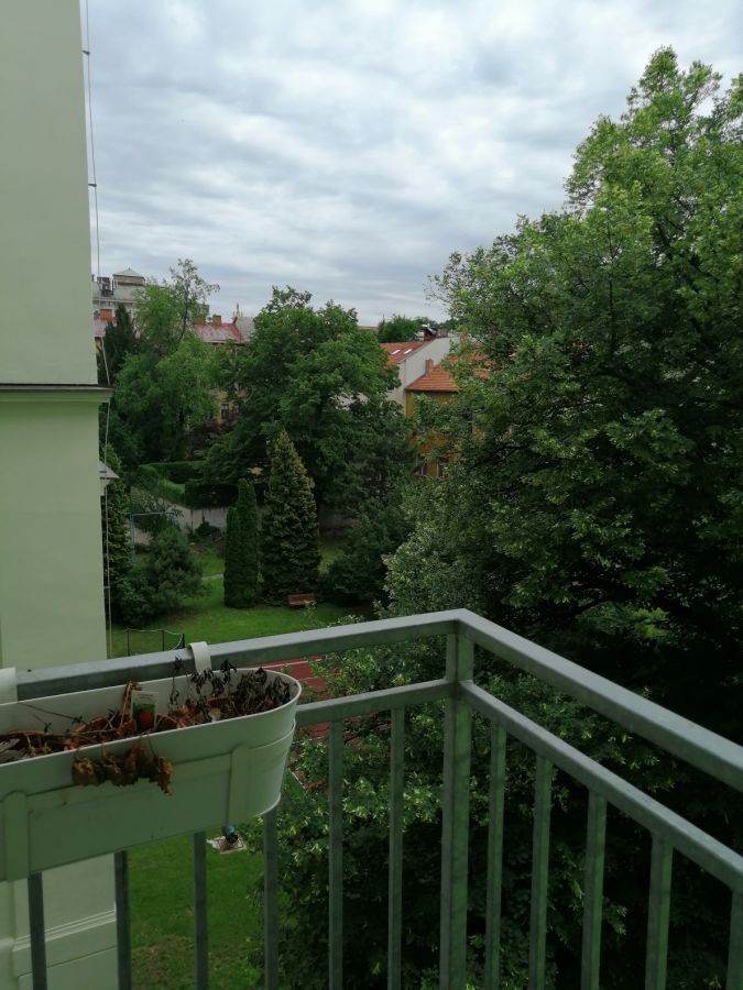 IMG_20190608_142509.jpg