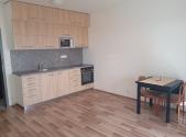 Pronájem bytu, 1+kk, 34 m²