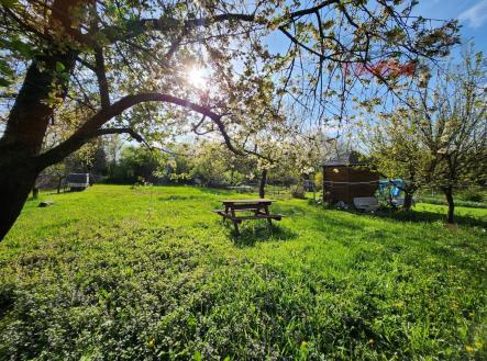 foto: 3 | Pronájem - pozemek, zahrada, 84 m²