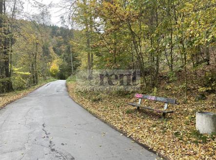 foto: 4 | Prodej - pozemek, les, 13 319 m²