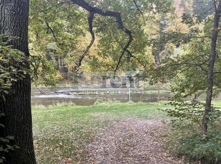 Prodej - pozemek, les, 13 319 m² obrázek