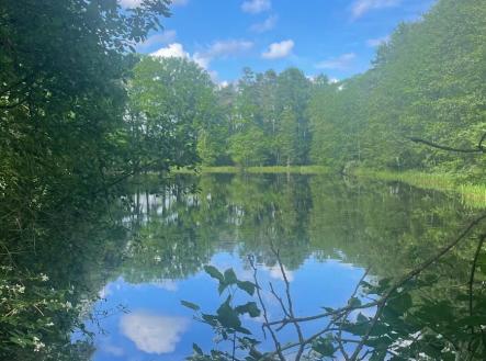foto: 4 | Prodej - pozemek, les, 360 000 m²