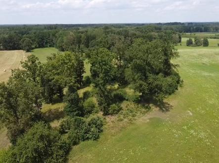 foto: 3 | Prodej - pozemek, les, 130 000 m²