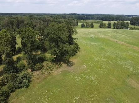 foto: 4 | Prodej - pozemek, les, 130 000 m²