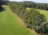 Prodej - pozemek, trvalý travní porost, 4 295 m²
