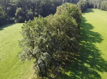 foto: 2 | Prodej - pozemek, trvalý travní porost, 4 295 m²