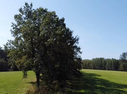 foto: 3 | Prodej - pozemek, trvalý travní porost, 4 295 m²