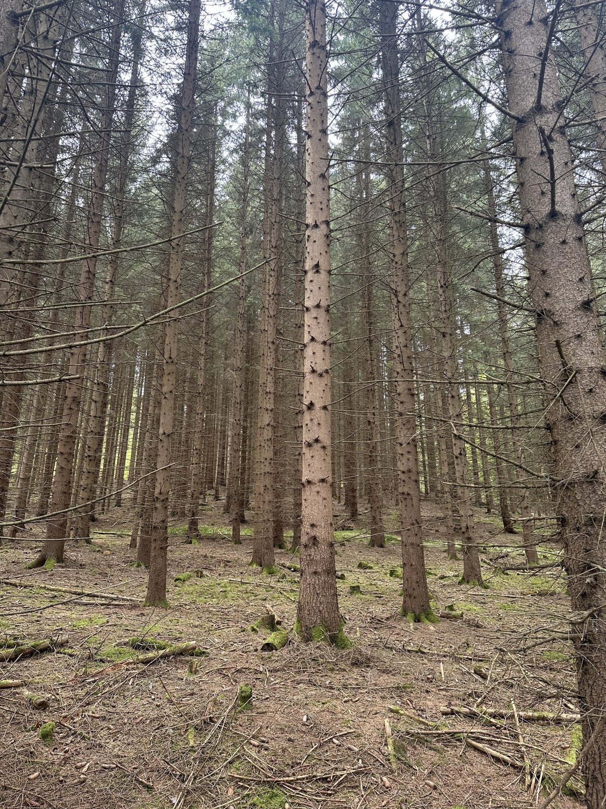 foto: 1