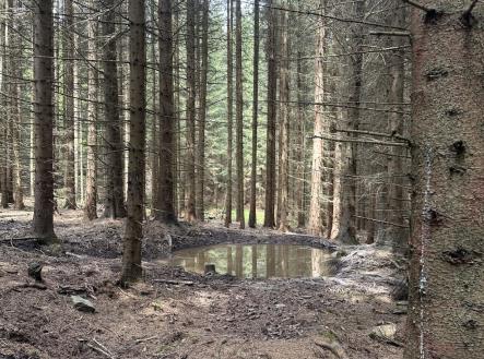 foto: 3 | Prodej - pozemek, les, 29 000 m²