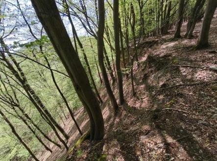 foto: 2 | Prodej - pozemek, les, 26 738 m²