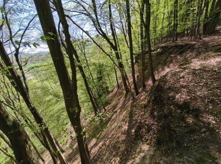 foto: 3 | Prodej - pozemek, les, 26 738 m²