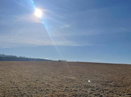 Prodej - pozemek, les, 27 831 m² obrázek