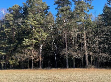 foto: 2 | Prodej - pozemek, les, 27 831 m²