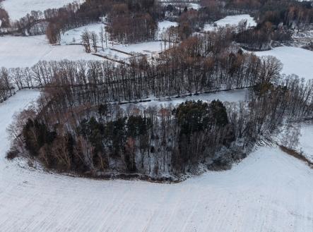 foto: 3 | Prodej - pozemek, les, 389 696 m²