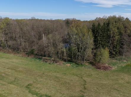 foto: 1 | Prodej - pozemek, les, 389 696 m²