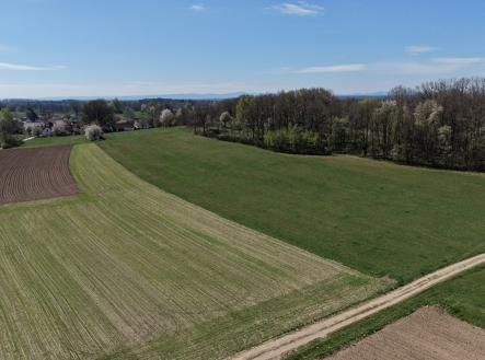 foto: 3 | Prodej - pozemek, les, 389 696 m²
