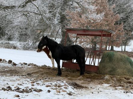 foto: 1 | Prodej - dům/vila, 1 140 m²