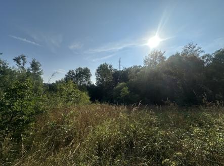 foto: 2 | Prodej - pozemek, ostatní, 3 546 m²