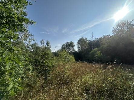 foto: 3 | Prodej - pozemek, ostatní, 3 546 m²