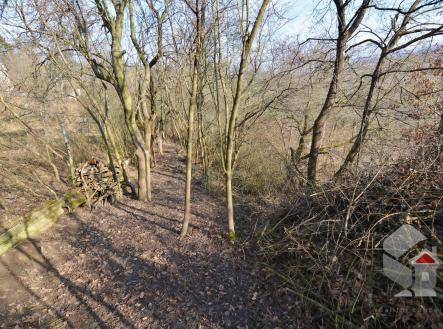 DSC_0664.JPG | Prodej - pozemek, zahrada, 207 m²