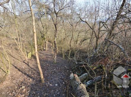 DSC_0661.JPG | Prodej - pozemek, zahrada, 207 m²