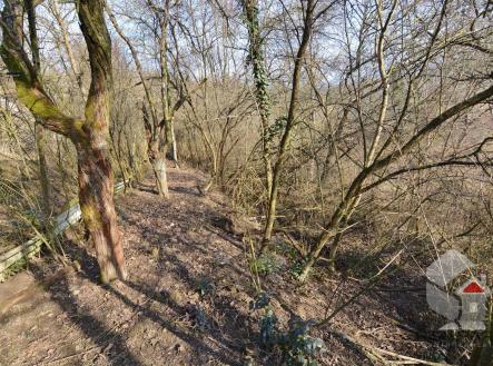 DSC_0665.JPG | Prodej - pozemek, zahrada, 207 m²