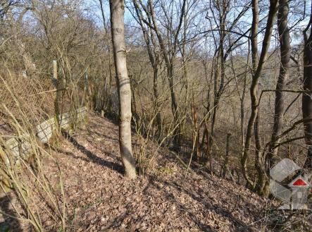 DSC_0669.JPG | Prodej - pozemek, zahrada, 207 m²