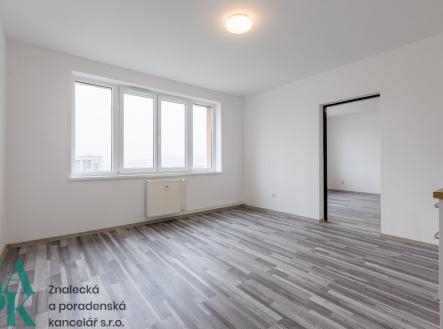 Pronájem bytu, 1+1, 47 m²