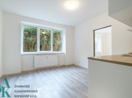 Pronájem bytu, 2+kk, 47 m²