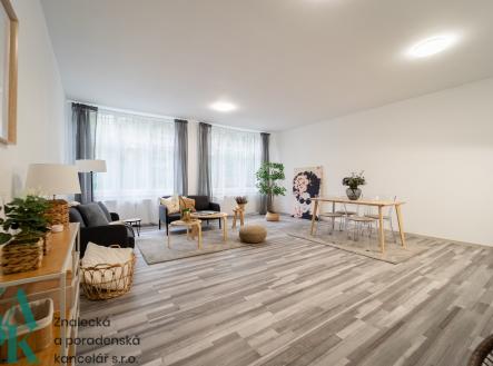 Pronájem bytu, 1+kk, 55 m²