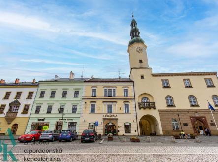 Prodej - nájemní dům, 777 m²