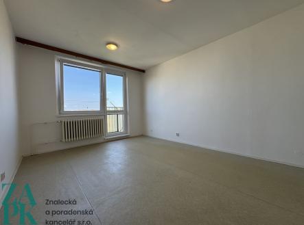 IMG_3293 | Pronájem bytu, 1+kk, 28 m²