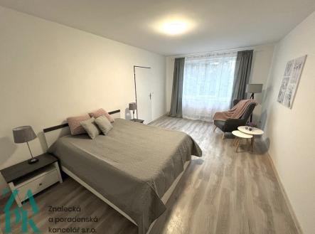 Pronájem bytu, 1+1, 38 m² obrázek