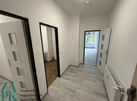 Pronájem bytu, 1+kk, 55 m²