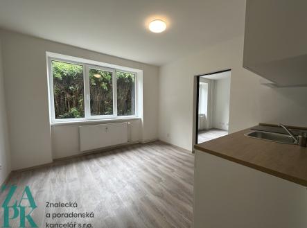 Pronájem bytu, 1+1, 38 m²