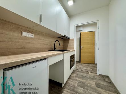 IMG_5103 | Pronájem bytu, 1+kk, 28 m²