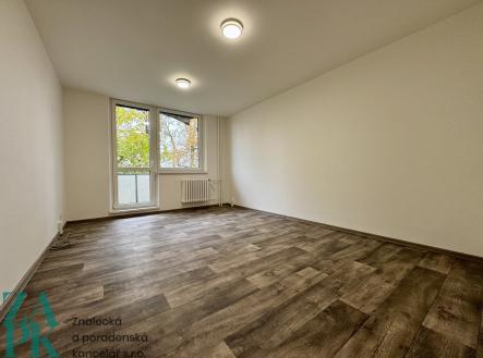 IMG_5099 | Pronájem bytu, 1+kk, 28 m²