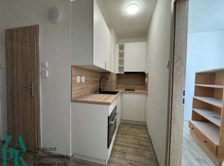 IMG_4860 | Pronájem bytu, 2+kk, 32 m²