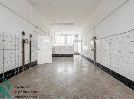 Pronájem - kanceláře, 173 m²