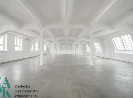 Pronájem - kanceláře, 303 m²