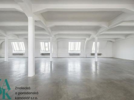 Pronájem - kanceláře, 303 m²