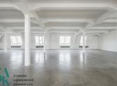 Pronájem - kanceláře, 303 m²