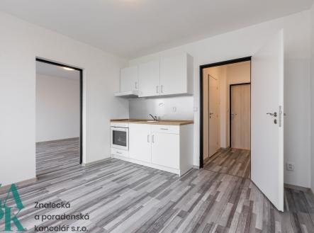 3.12-2 | Pronájem bytu, 1+1, 37 m²