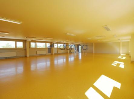 Pronájem - obchodní prostor, 290 m²