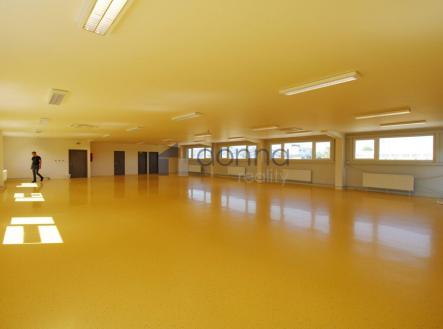 Pronájem - výrobní prostor, 411 m²
