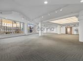 Pronájem - obchodní prostor, 475 m²