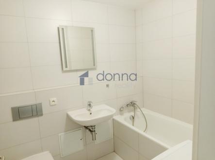1744617449141.jpg | Pronájem bytu, 1+kk, 28 m²