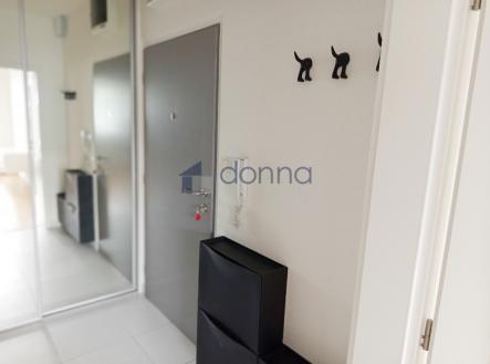 1744617498834.jpg | Pronájem bytu, 1+kk, 28 m²