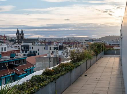 Pronájem - kanceláře, 295 m² obrázek
